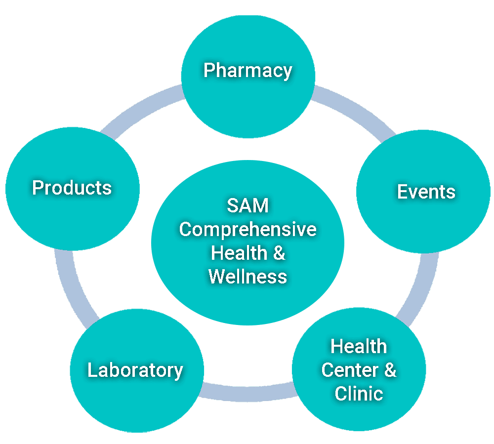 schema services