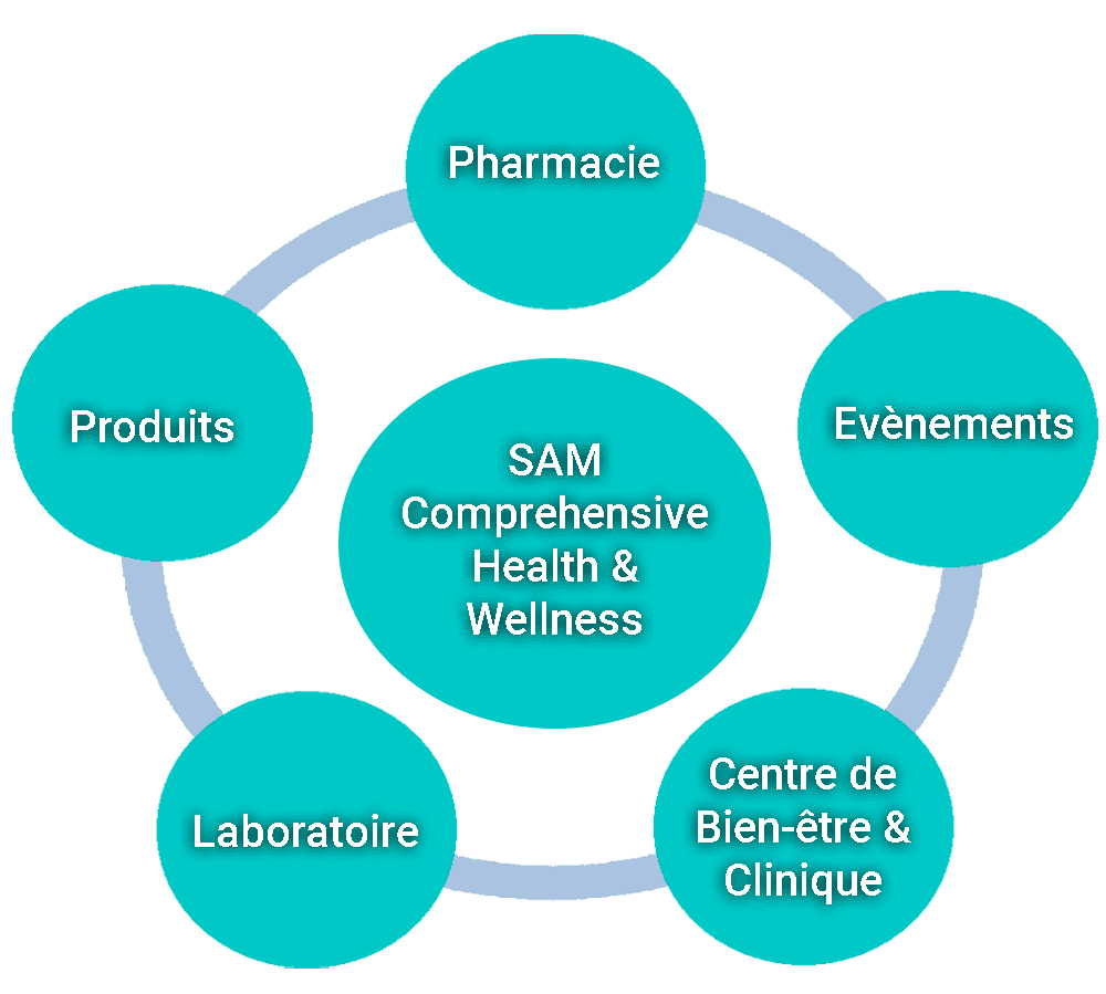 schema services