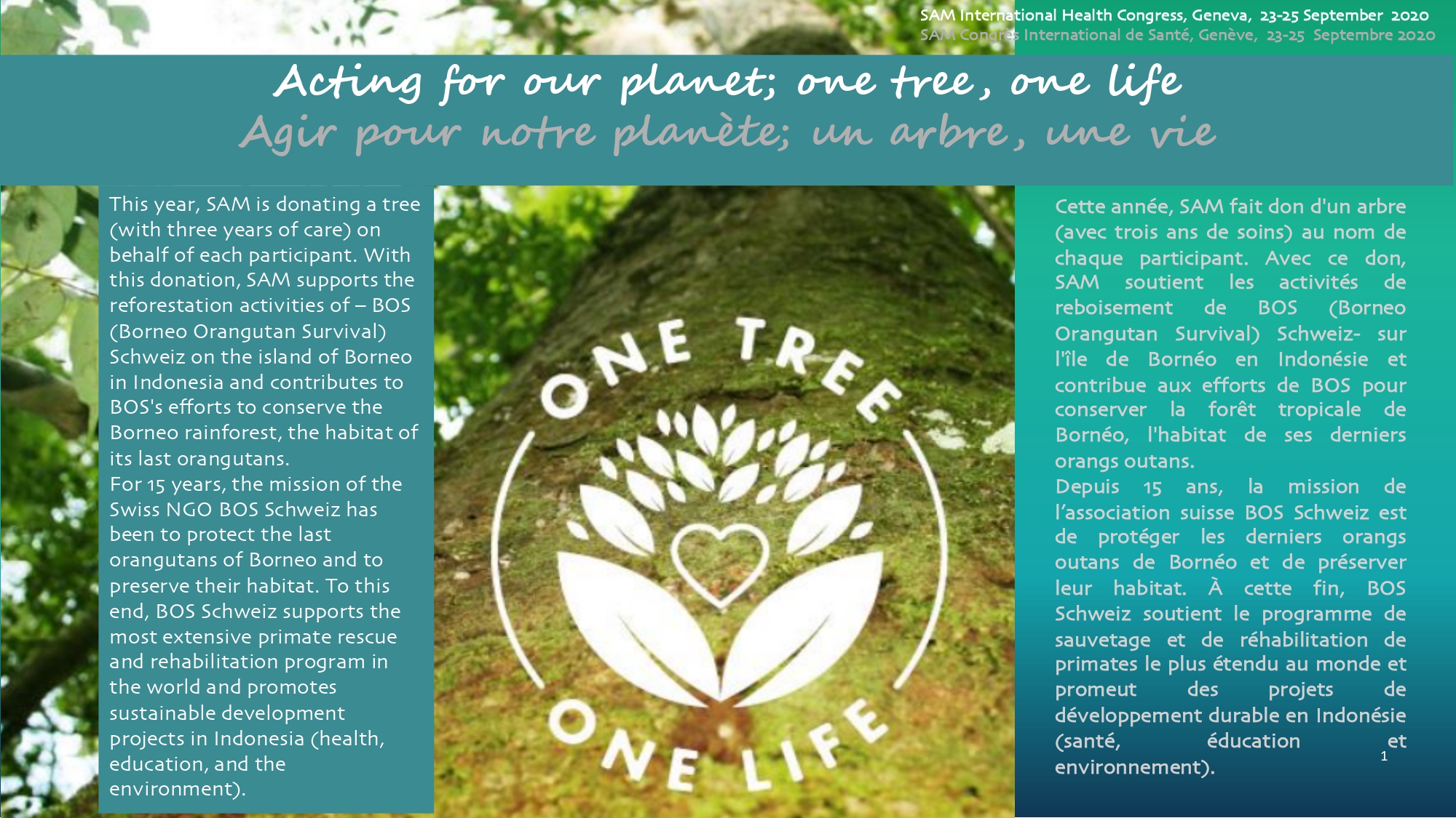 One tree one life IHC